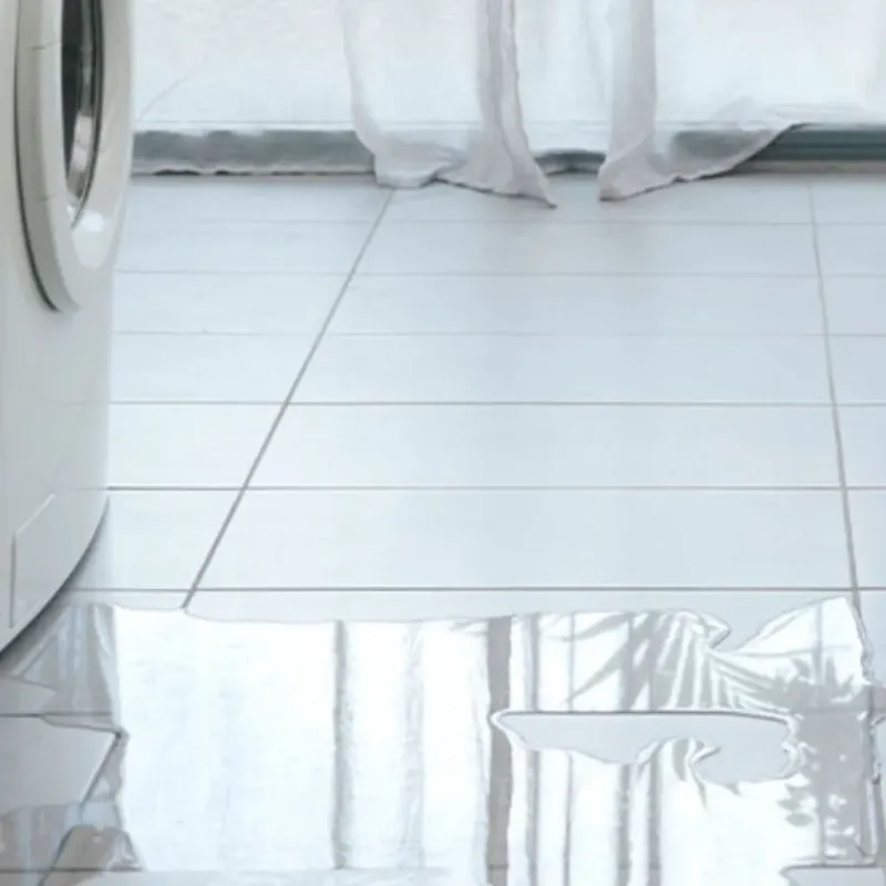 Appliance Leak Cleanup in Booker, TX