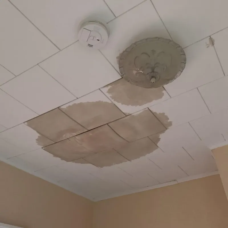 Ceiling Water Damage Repair in Booker, TX