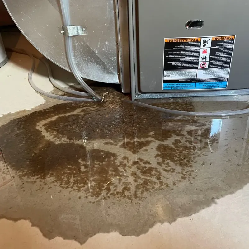 Pipe Burst and Leak Restoration in Booker, TX