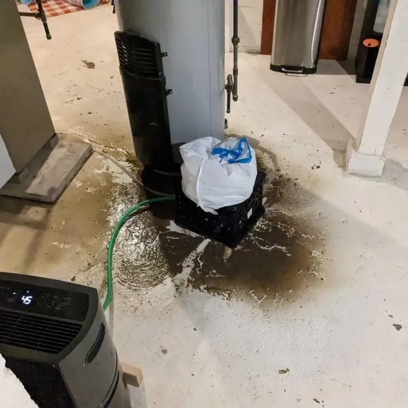 Sewage Backup Cleanup Service in Booker, TX